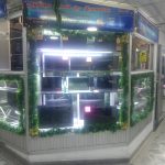 L256-SystemCambAndComputer